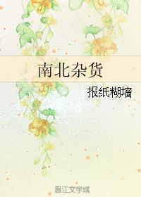 南北杂货txt完整版