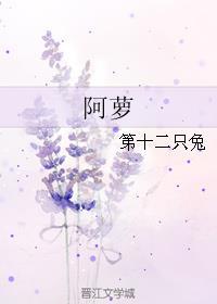 阿萝是段正淳的哪个情人的名字