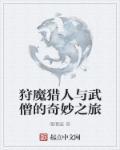 狩魔猎人是什么游戏