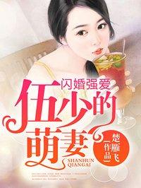 闪婚v5