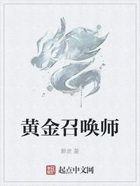 黄金召唤师奇书网