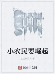 小农民成长史