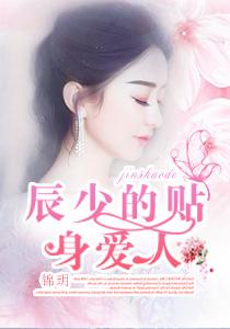 辰少的蜜宠甜妻完整版