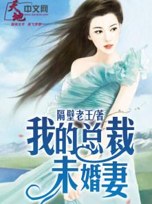 我的总裁未婚妻苏若雪沈浪