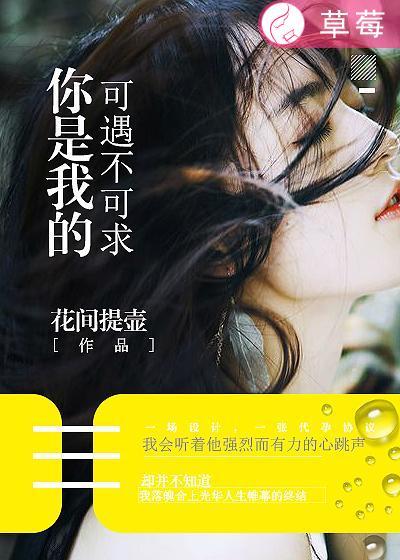 你是我的可遇不可求出自哪里