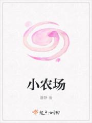 小农场经营模式