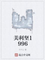 美利坚1919防盗