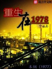 重生在70年代宁溪南