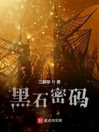 黑石密码无错全文