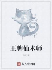 王牌师是什么意思