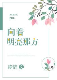 向着明亮那方动画