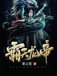 霸天龙帝无邪公子楚辰身份