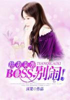 boss 别闹安音免费阅读