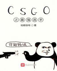 csgo职业选手