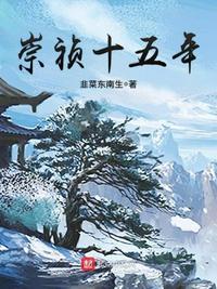 崇祯十五年无错版顶点