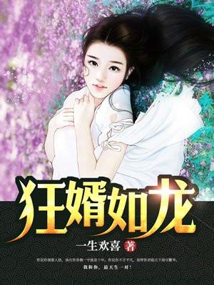 狂婿如龙陆叶白风雪txt