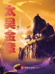 太昊金章epub