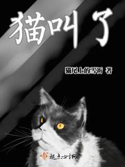 猫叫了不过来怎么回事