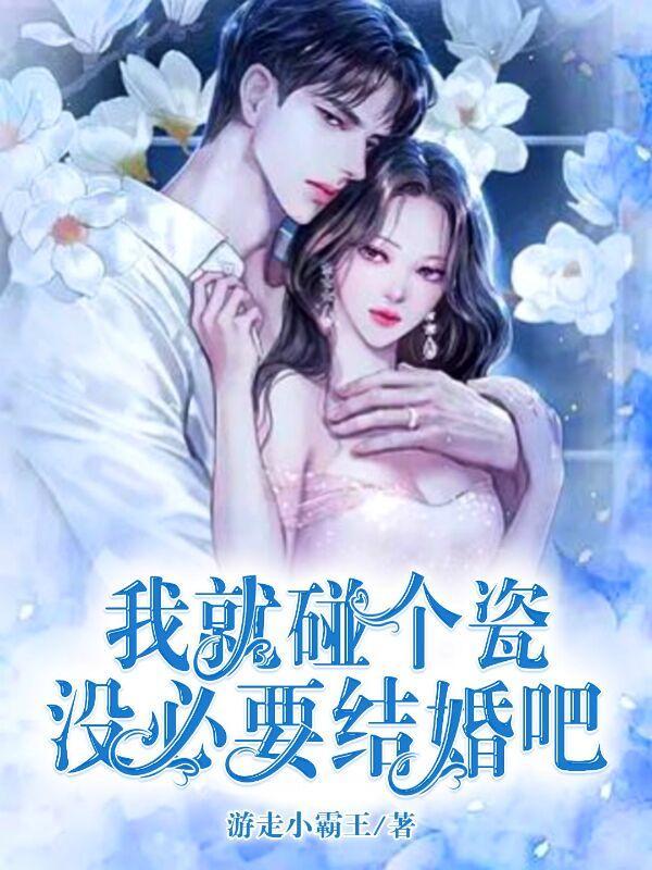 没必要结婚吧什么意思