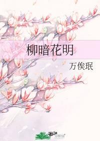 柳暗花明丹青手TXT