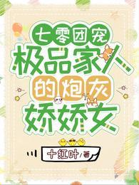 七零团宠极品家人的炮灰娇娇女十红叶 / 著106.6万字