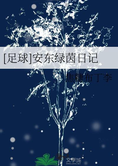 足球安东绿茵日记番外