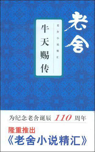 牛天赐传读后感500字