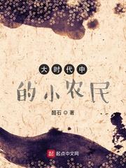 大时代中的小农民 醛石免费阅读