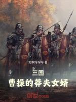 三国开局成为曹操的莽夫谋士