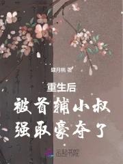 重生后我成了首辅