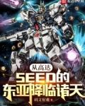 从高达seed开始