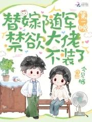 替嫁将军全本免费阅读夜冰澜