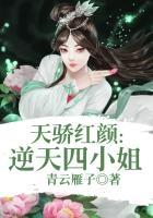 逆天狂妃四小姐