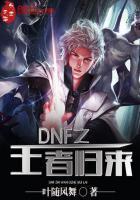 DNF王者辅助