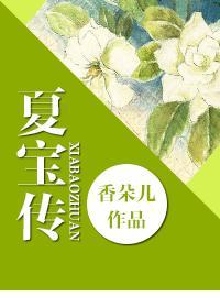 重生夏宝传总共有几部